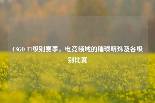 CSGO T1级别赛事,电竞领域的璀璨明珠及各级别比赛