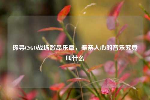 探寻CSGO战场激昂乐章,振奋人心的音乐究竟叫什么