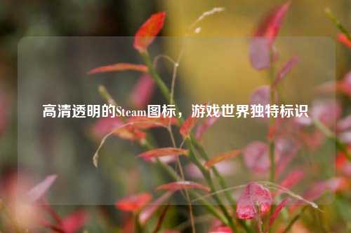 高清透明的Steam图标,游戏世界独特标识