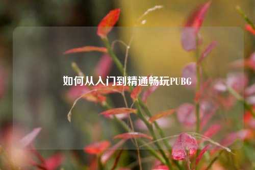 如何从入门到精通畅玩PUBG