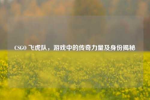 CSGO 飞虎队,游戏中的传奇力量及身份揭秘