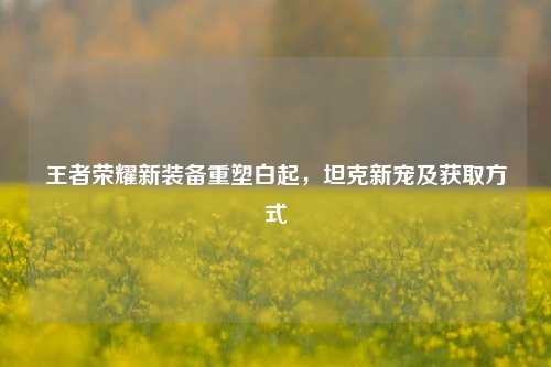 王者荣耀新装备重塑白起,坦克新宠及获取方式
