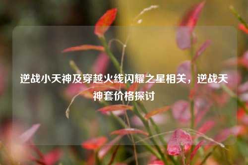 逆战小天神及穿越火线闪耀之星相关,逆战天神套价格探讨