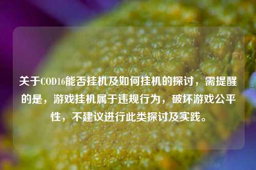 关于COD16能否挂机及如何挂机的探讨,需提醒的是,游戏挂机属于违规行为,破坏游戏公平性,不建议进行此类探讨及实践。