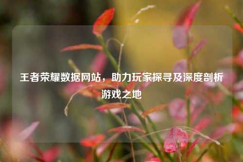 王者荣耀数据网站,助力玩家探寻及深度剖析游戏之地