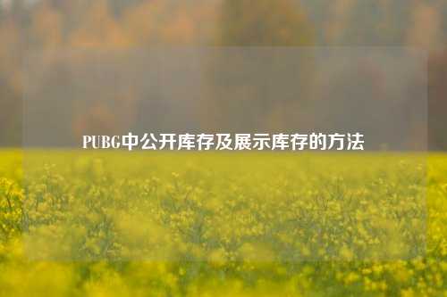 PUBG中公开库存及展示库存的