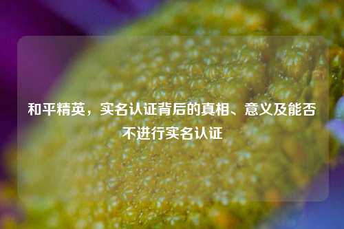 和平精英,实名认证背后的真相、意义及能否不进行实名认证