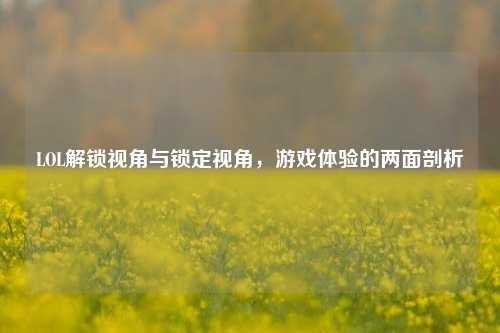 LOL解锁视角与锁定视角,游戏体验的两面剖析