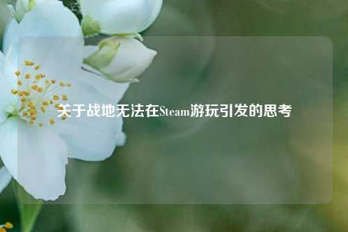 关于战地无法在Steam游玩引发的思考