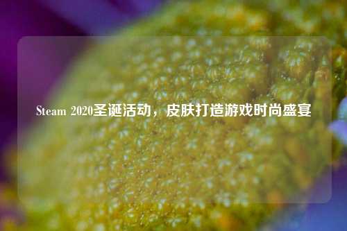 Steam 2020圣诞活动,皮肤打造游戏时尚盛宴