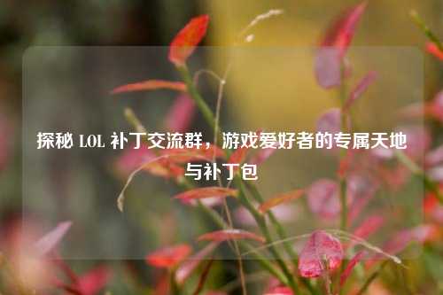 探秘 LOL 补丁交流群,游戏爱好者的专属天地与补丁包
