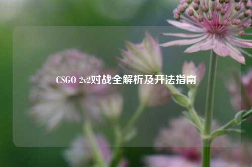CSGO 2v2对战全解析及开法指南