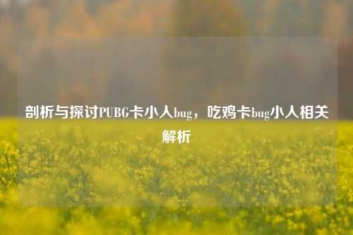 剖析与探讨PUBG卡小人bug,吃鸡卡bug小人相关解析