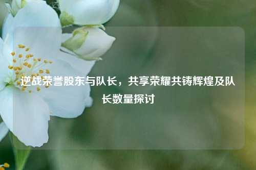 逆战荣誉股东与队长,共享荣耀共铸辉煌及队长数量探讨