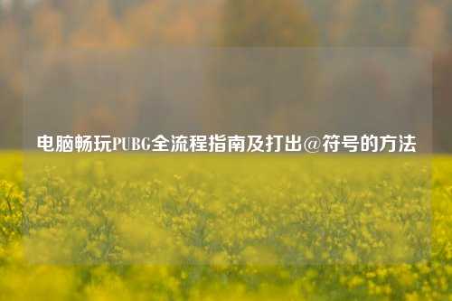电脑畅玩PUBG全流程指南及打出@符号的