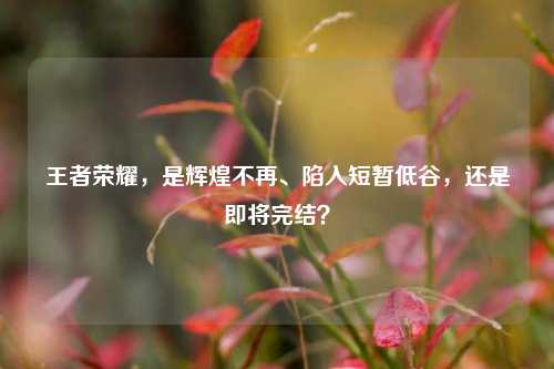 王者荣耀,是辉煌不再、陷入短暂低谷,还是即将完结?