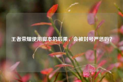 王者荣耀使用脚本的后果,会被封号严惩吗?