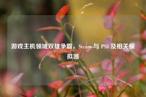 游戏主机领域双雄争霸,Steam 与 PS3 及相关模拟器
