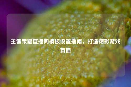 王者荣耀直播间模板设置指南,打造精彩游戏直播