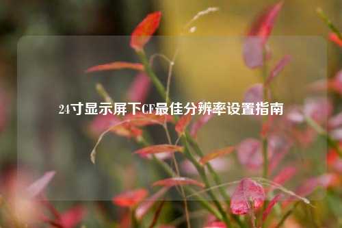 24寸显示屏下CF更佳分辨率设置指南