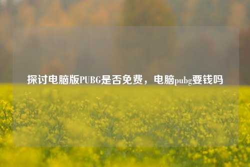 探讨电脑版PUBG是否免费,电脑pubg要钱吗