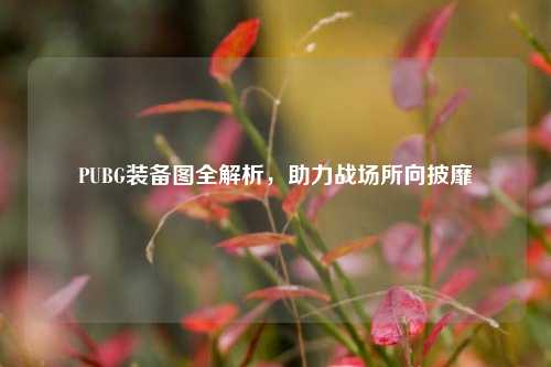 PUBG装备图全解析,助力战场所向披靡