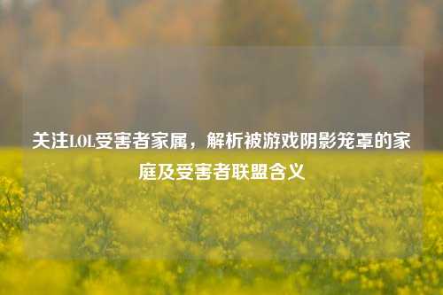 关注LOL受害者家属,解析被游戏阴影笼罩的家庭及受害者联盟含义