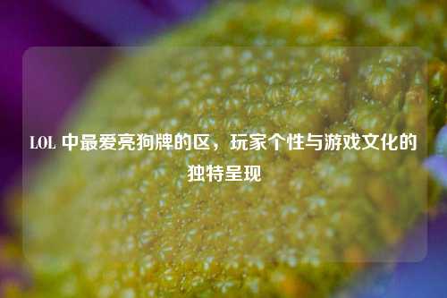 LOL 中更爱亮狗牌的区,玩家个性与游戏文化的独特呈现