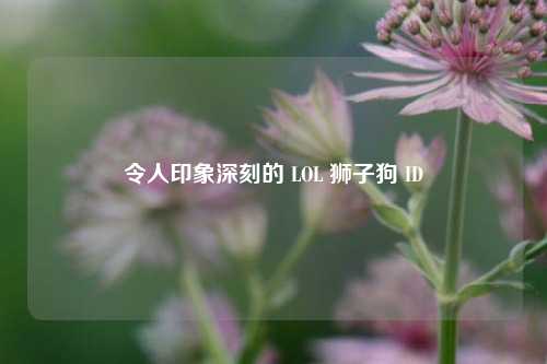 令人印象深刻的 LOL 狮子狗 ID