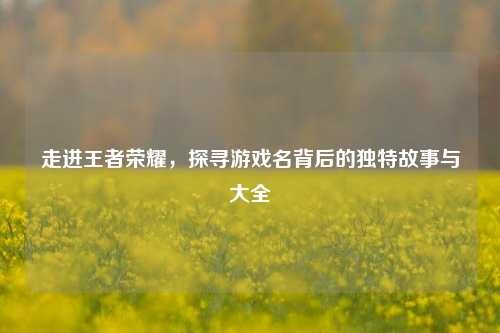 走进王者荣耀,探寻游戏名背后的独特故事与大全