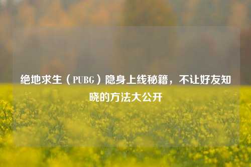 绝地求生(PUBG)隐身上线秘籍,不让好友知晓的 大公开