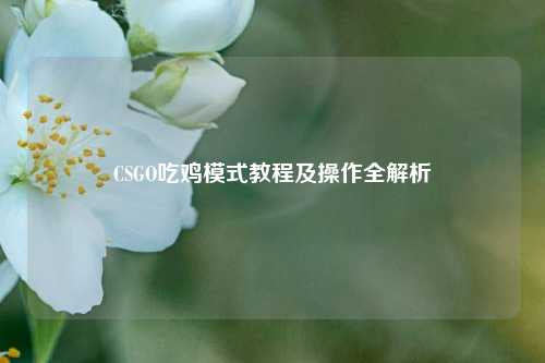 CSGO吃鸡模式教程及操作全解析
