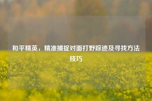 和平精英,精准捕捉对面打野踪迹及寻找 技巧