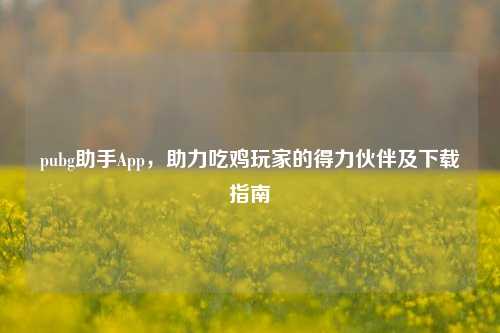 pubg助手App,助力吃鸡玩家的得力伙伴及下载指南