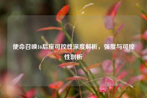 使命召唤16后座可控性深度解析,强度与可控性剖析