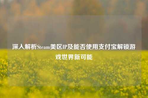 深入解析Steam美区IP及能否使用支付宝解锁游戏世界新可能