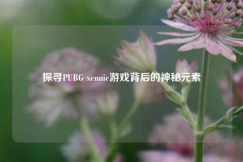 探寻PUBG xenuie游戏背后的神秘元素