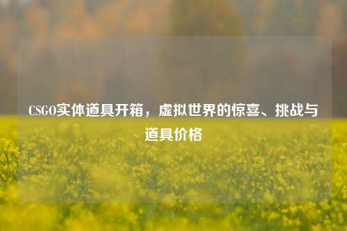CSGO实体道具开箱,虚拟世界的惊喜、挑战与道具价格