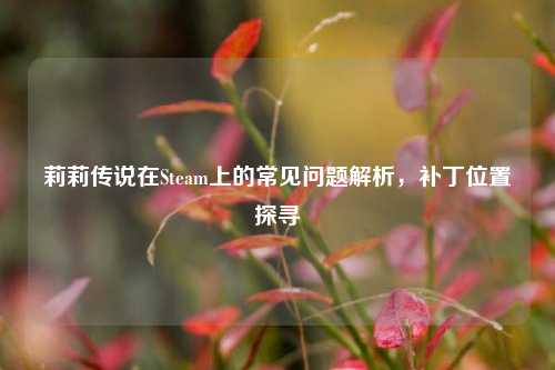 莉莉传说在Steam上的常见问题解析,补丁位置探寻