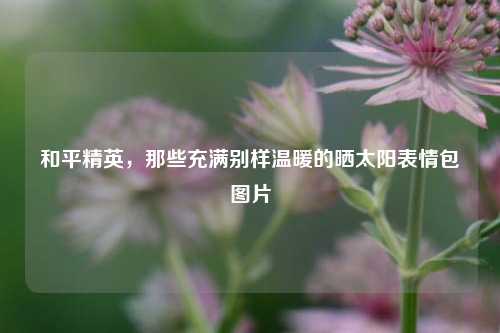 和平精英,那些充满别样温暖的晒太阳表情包图片