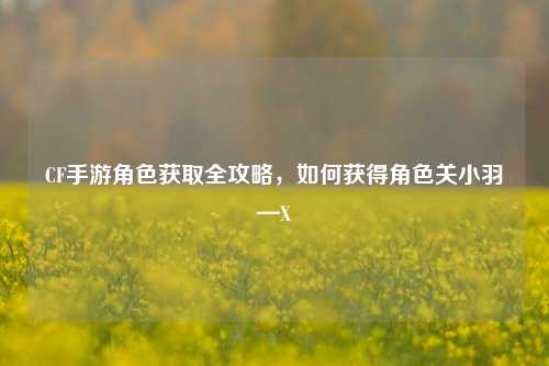 CF手游角色获取全攻略,如何获得角色关小羽—X
