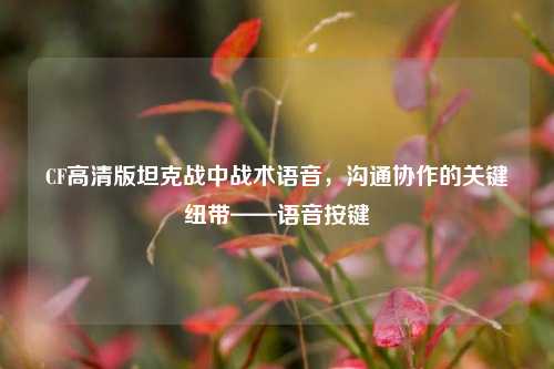 CF高清版坦克战中战术语音,沟通协作的关键纽带——语音按键