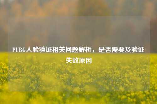 PUBG人脸验证相关问题解析,是否需要及验证失败原因