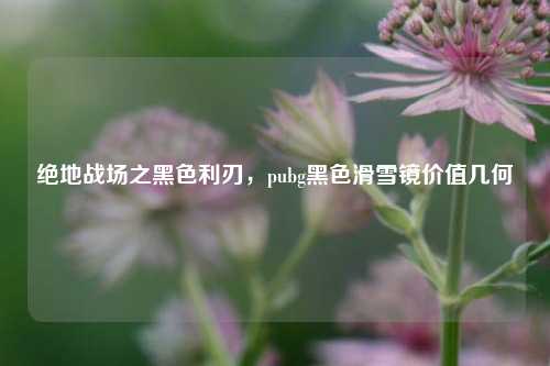 绝地战场之黑色利刃,pubg黑色滑雪镜价值几何