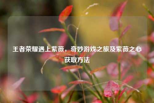 王者荣耀遇上紫薇,奇妙游戏之旅及紫薇之心获取