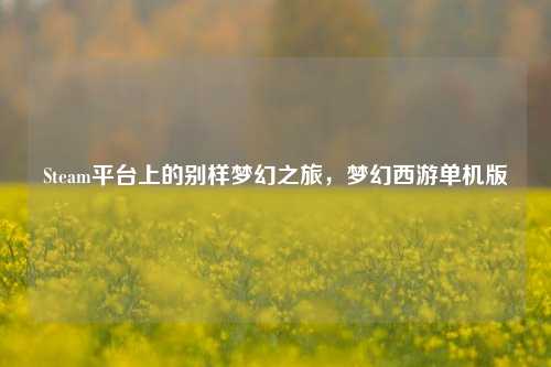 Steam平台上的别样梦幻之旅,梦幻西游单机版