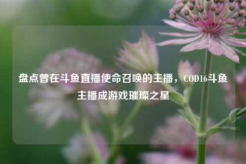 盘点曾在斗鱼直播使命召唤的主播,COD16斗鱼主播成游戏璀璨之星