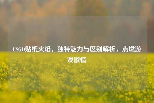 CSGO贴纸火焰,独特魅力与区别解析,点燃游戏
