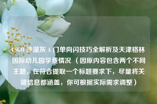 CSGO 沙漠灰 A 门单向闪技巧全解析及天津格林国际幼儿园学费情况 (因原内容包含两个不同主题,在符合提取一个标题要求下,尽量将关键信息都涵盖,你可根据实际需求调整)