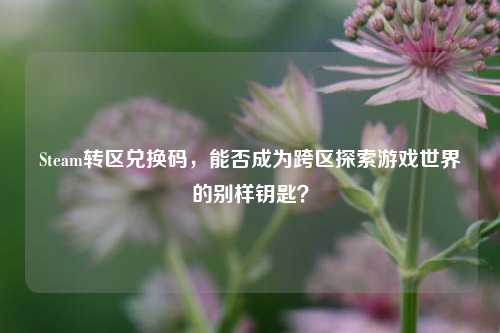 Steam转区兑换码,能否成为跨区探索游戏世界的别样钥匙?